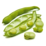 FÈVES | فول | HABAS