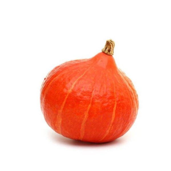 COURGE POTIMARRON | يقطين صغير | CALABAZA POTIMARRÓN