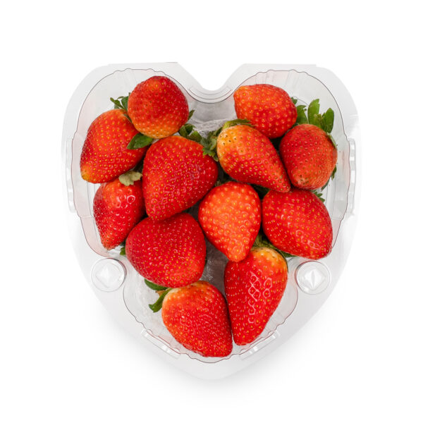 FRAISES | فراولة | FRESAS