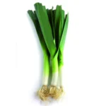 POIREAU | بورو | PUERRO