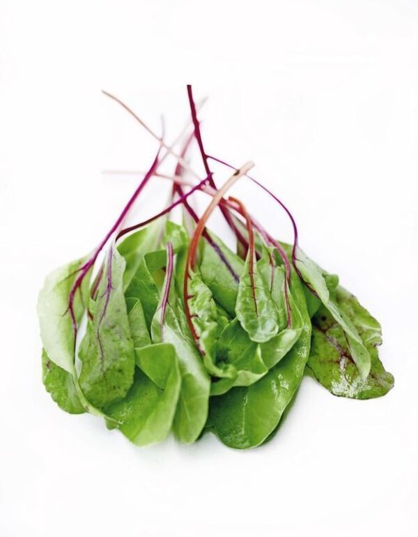 FEUILLES DE BETTERAVE | أوراق الباربة | HOJAS DE REMOLACHA