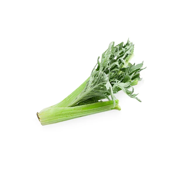 CARDON | خرشوف | CARDO