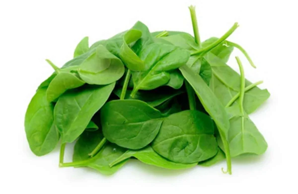 ÉPINARDS EFFEUILLÉS | أوراق سبانخ | ESPINACAS EN HOJAS