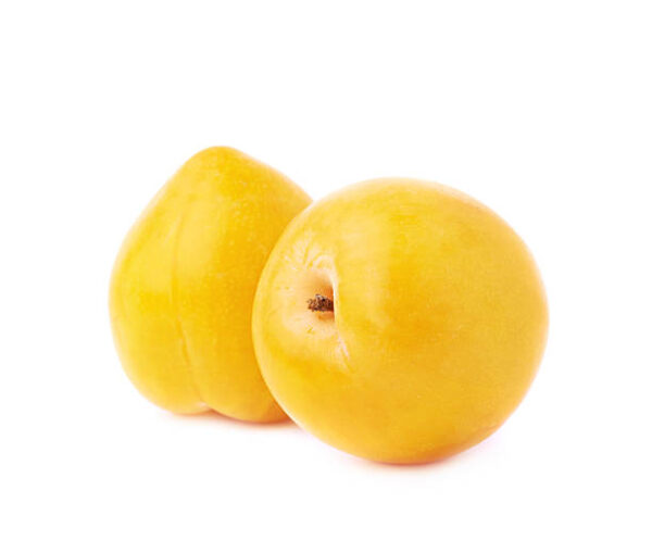 PRUNE JAUNE | برقوق أصفر | CIRUELA AMARILLA