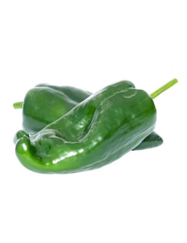 POIVRON VERT | فلفل أخضر | PIMIENTO VERDE