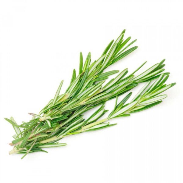 ROMARIN | أزير | ROMERO