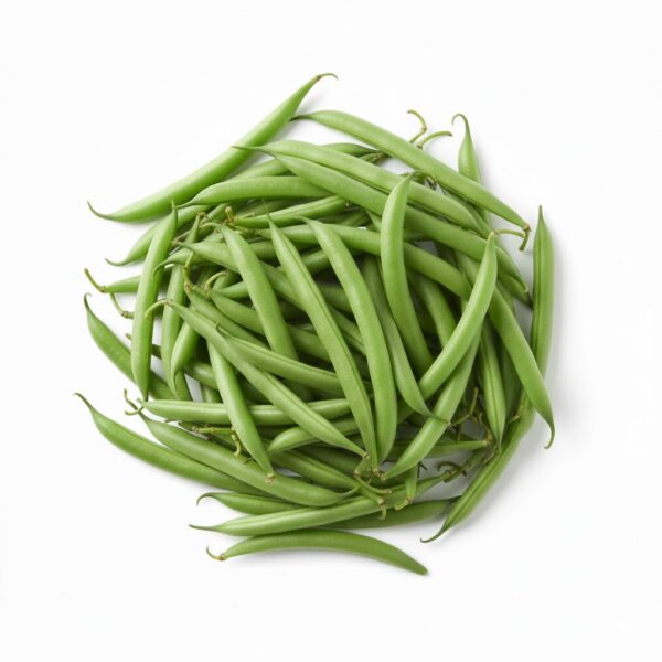 HARICOT VERT | لوبيا خضراء | JUDÍA VERDE