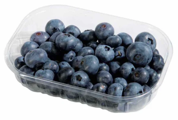 Myrtille / توت أزرق / Arándano