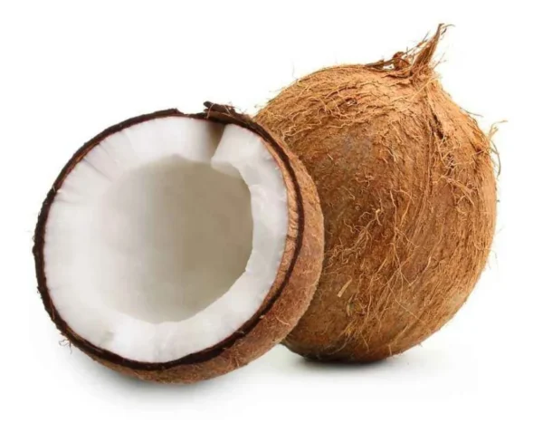 Noix de coco / جوز الهند / Coco