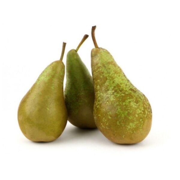 Poires Conférence | إجاص كونفيرونس | Peras Conference