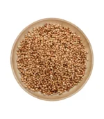 CORIANDRE | قزبور | CILANTRO – Image 2