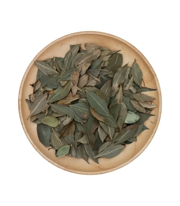 Feuilles de laurier | سيدنا موسى | Hojas de laurel