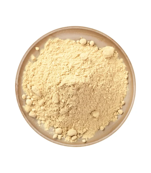 GINGEMBRE | سكينجبير | JENGIBRE